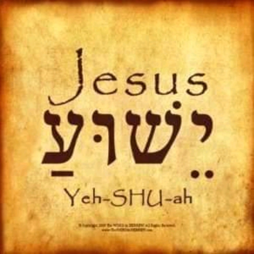 Meet your Posher, Francisca